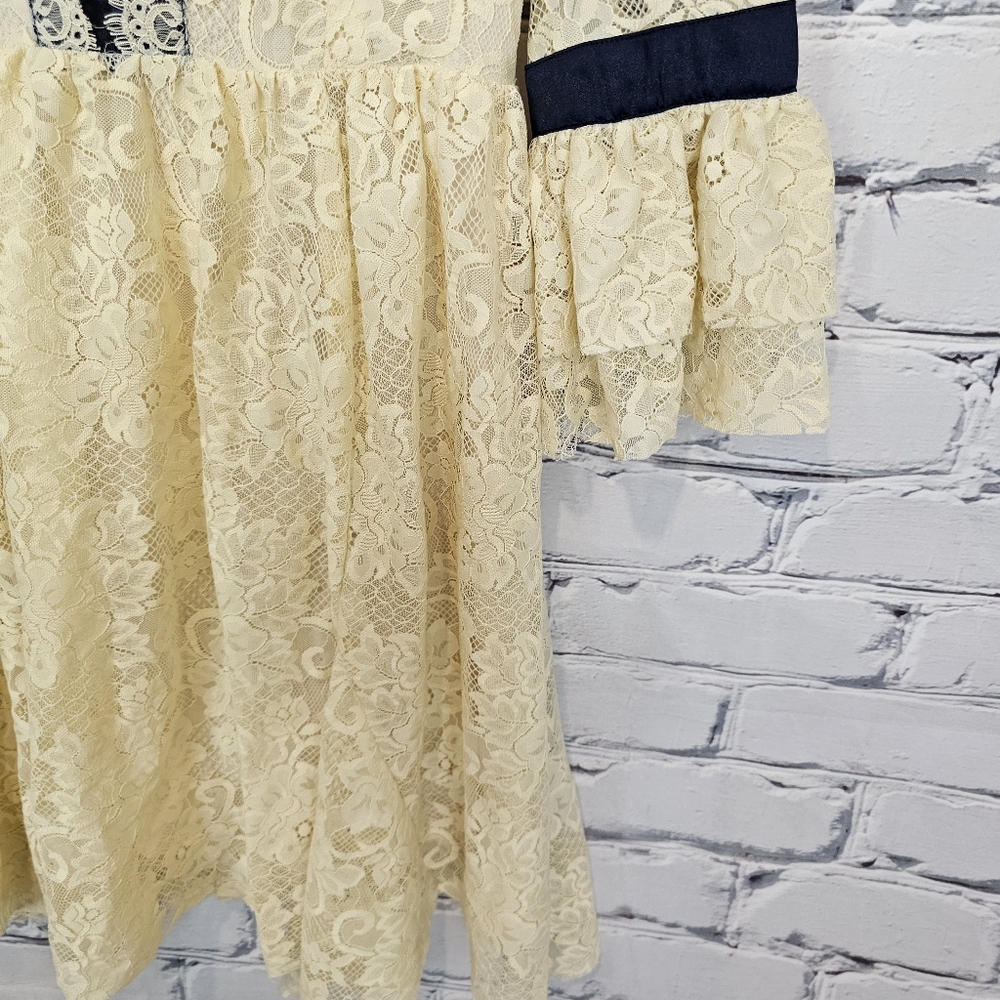 Free People Gilded Lace Mini Dress - Picture 5 of 8